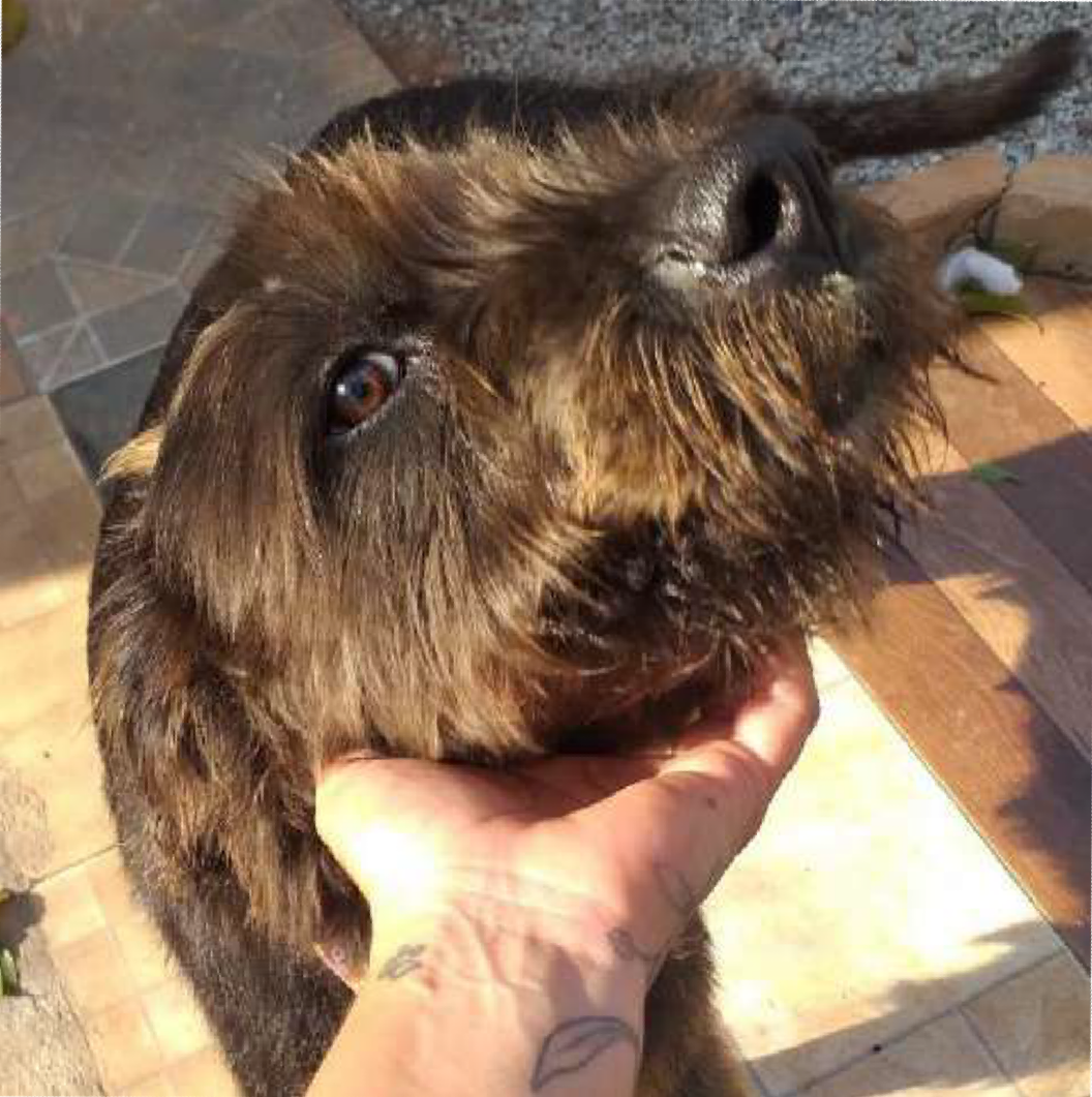 Foto de Bibiana
