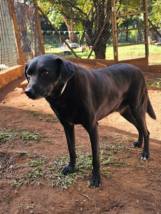 Foto de Black