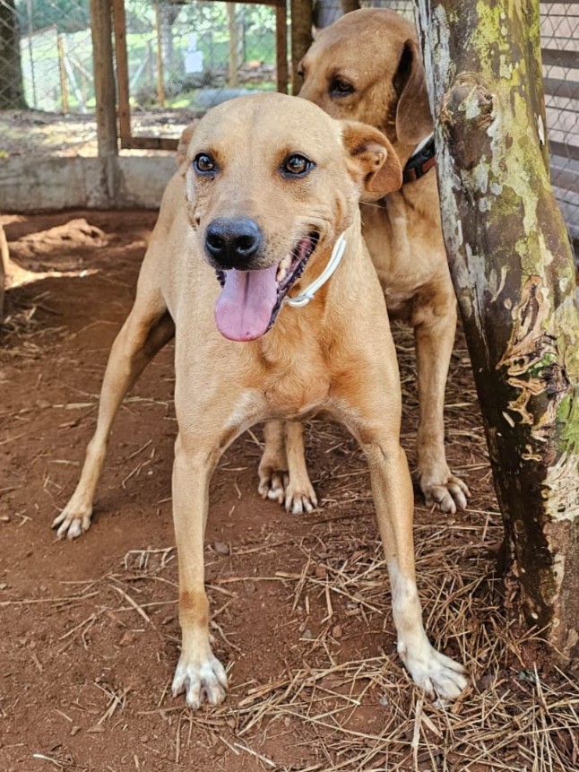 Foto de Zeca