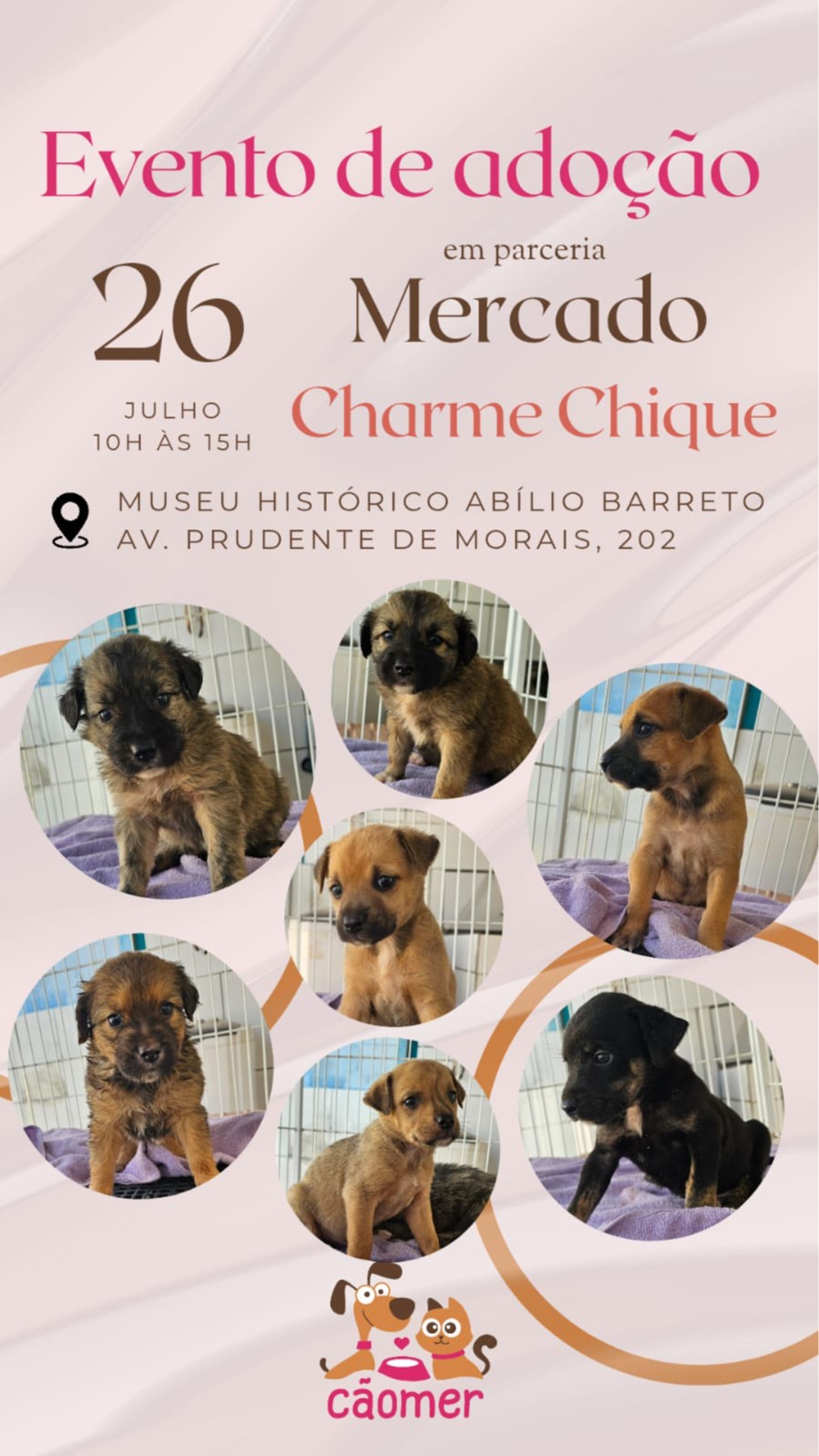 Arte do evento Evento de adoção Mercado Charme Chique