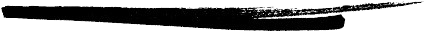 Detalhe Visual